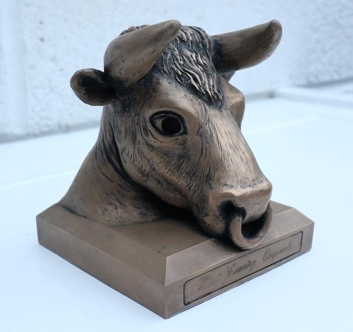 Bull