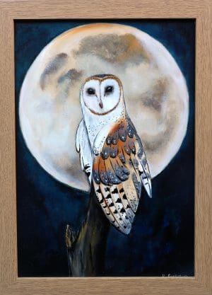 Barn Owl