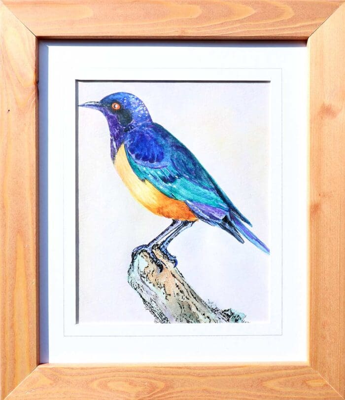 Blue Bird
