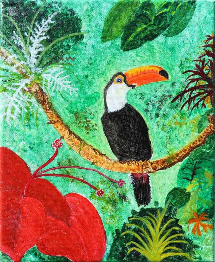 Toucan