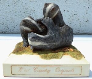 Badgers Play