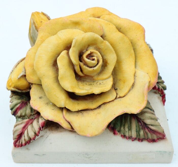 Yellow Garden Rose