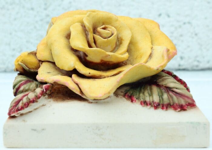 Yellow Garden Rose - Image 3