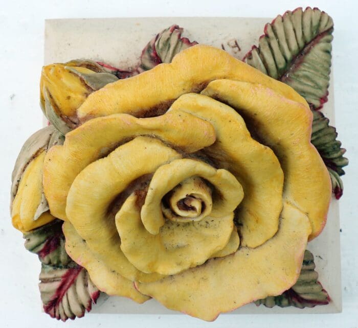 Yellow Garden Rose - Image 4