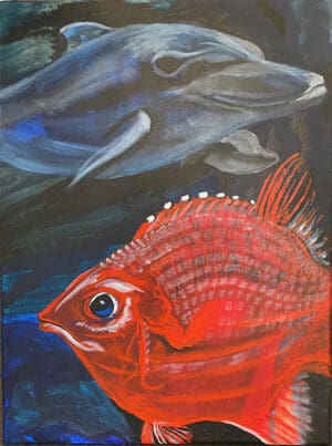 Dolphin n Red Fish