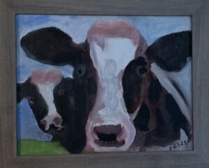 Cows