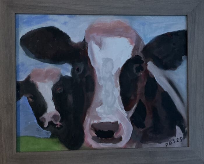 Cows