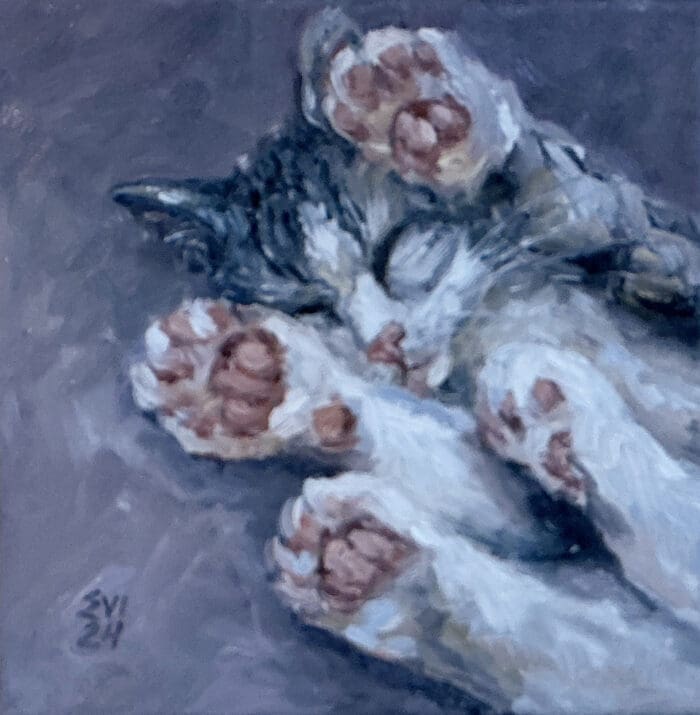 Sleeping Cat